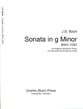 Sonata in G minor TubaEuphonium Trio cover